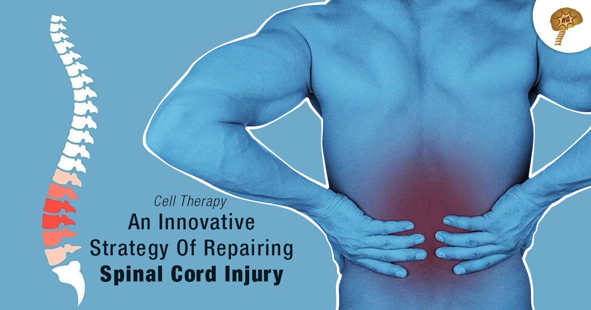 Cell Therapy: An innovative strategy to repair spinal cord injury